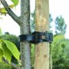 Colliers de tuteurage pour arbres - L36 cm