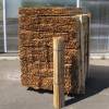 Tuteur acacia corc point (chalas) - 100cm- 1m