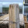 Tuteur acacia écorcés épointés (échalas) - 120cm