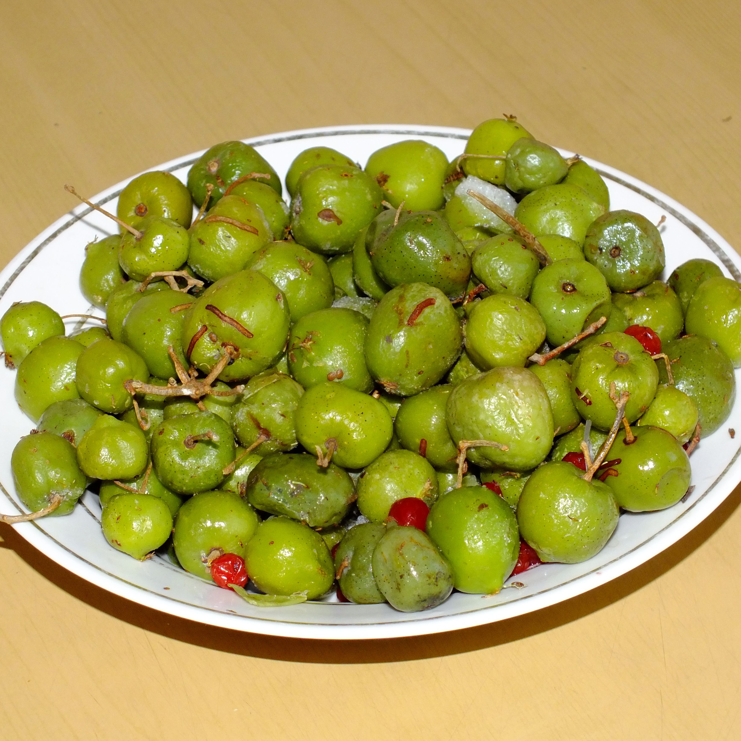 Kiwi arctique panaché Vente en ligne au meilleur prix