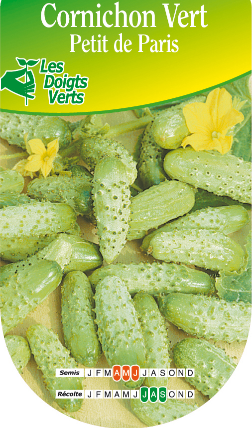 Cornichon vert Petit de Paris Vente en ligne au meilleur prix