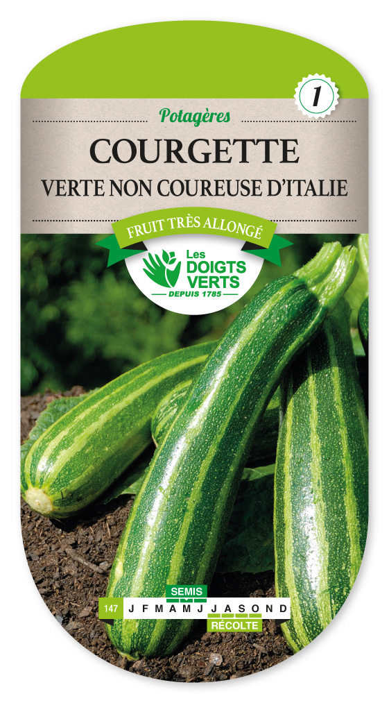 100 Graines De Courgette Verte Non Hybride – Variété Coureuse Et Productive – Semis Facile – Idéale Potager