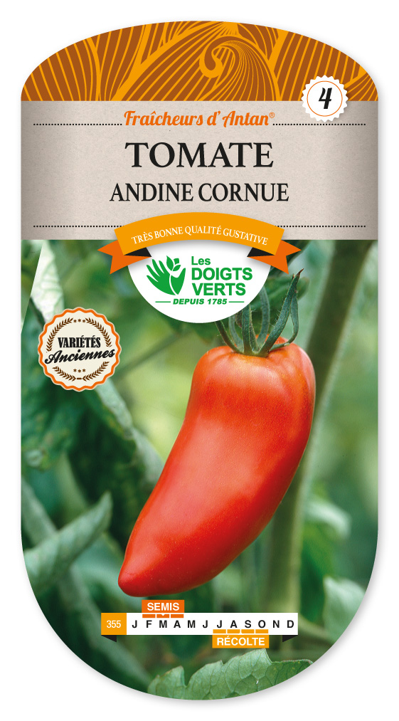 25 Graines De TOMATE Cornue Des Andes - Variété Ancienne Aux Fruits Allongés Et Juteux - Le Grenier D'Abondance