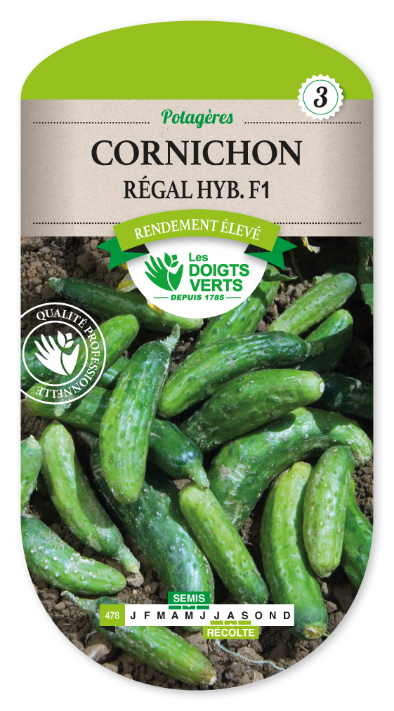 Cornichon Régal hyb. F1 Vente en ligne au meilleur prix