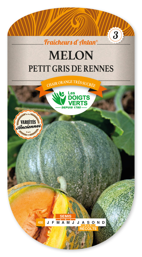 Melon Petit Gris de Rennes Vente en ligne au meilleur prix — free download