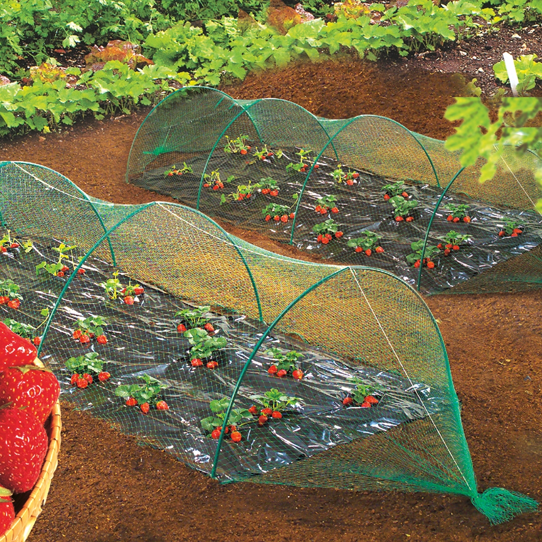 Filet Anti-Oiseaux 5x8m - Maille 2.5cm, Protection Jardin Et Potager Contre Pigeons Et Poules