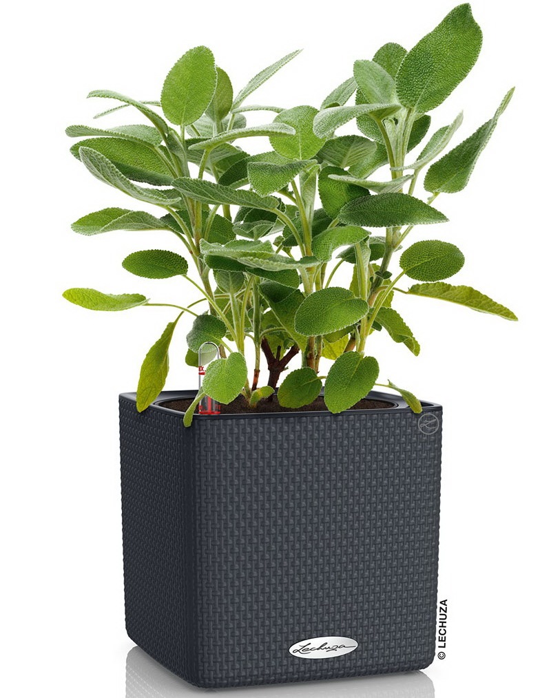 LECHUZA Plantenbak Cubico Color 40 ALL-IN-ONE leigrijs 13158 kopen