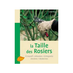 La taille des rosiers