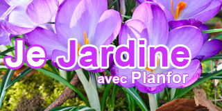 Je jardine - N°008 Mars 2015