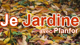 Je jardine n°021 - Octobre 2016