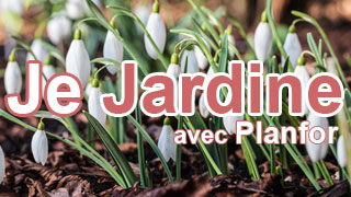 Je jardine n°025 - Février 2017
