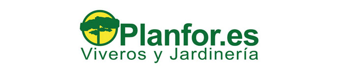 Planfor.es