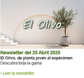 Ver la newsletter del mes