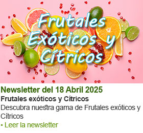 Ver nuestro newsletter anterior