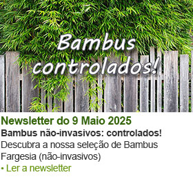 Ver a nossa newsletter anterior