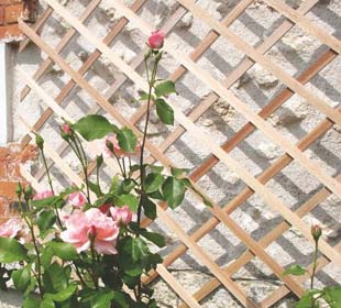 Treillis extensible en Bois