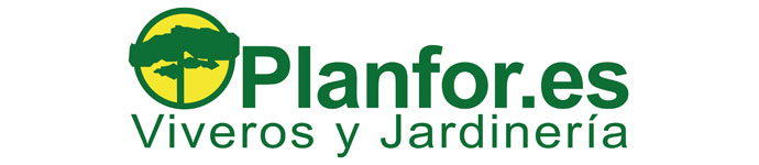 Planfor.es