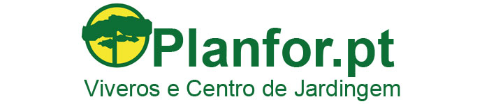 Planfor.pt