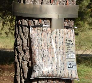 Ecopiège - Camouflage Ecorce 