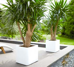 Pure Soft Brick - White