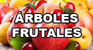 Arboles frutales