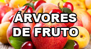 Árvores de fruto