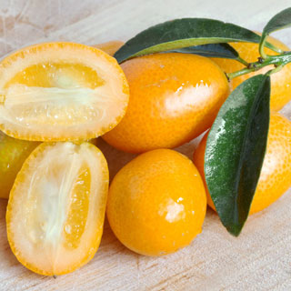 Kumquat
