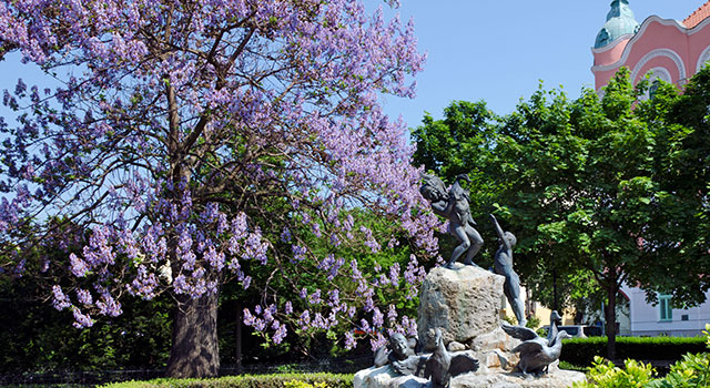 Special arrival of PAULOWNIA
