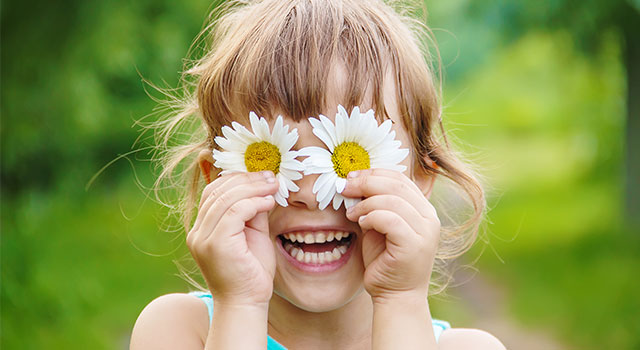 Nouveautés Plantes aromatiques, Vivaces d'été
