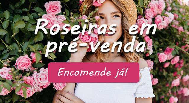 roseiras em pré-venda