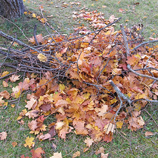 Refuge faune Refuge faune