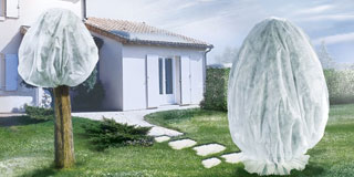 Hivernage des plantes