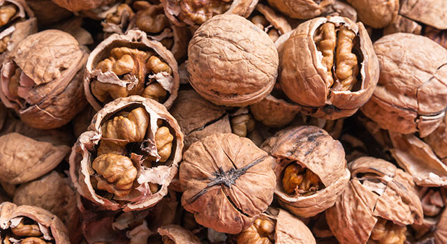 Foco sobre nuestras variededes de Nogales