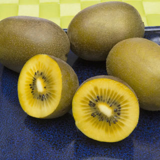Kiwi 'Golden Kiwi'