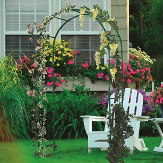 Supports pour plantes grimpantes Supports pour plantes grimpantes