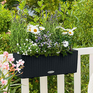 Balconera Cottage