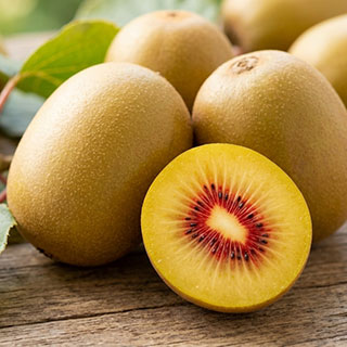 Kiwi 'Wonder' Kiwi 'Wonder'