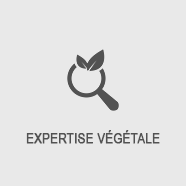 Expertise végétale
