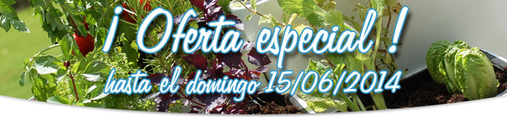 Oferta especial !