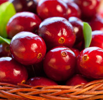 Cranberry, Arandano rojo
